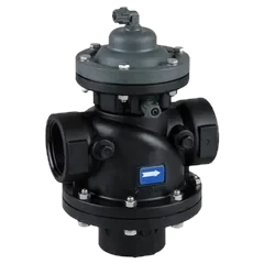 Backwash valve